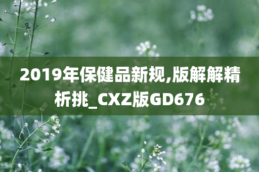 2019年保健品新规,版解解精析挑_CXZ版GD676