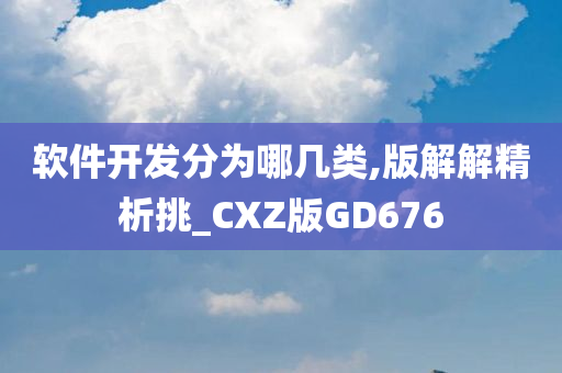 软件开发分为哪几类,版解解精析挑_CXZ版GD676