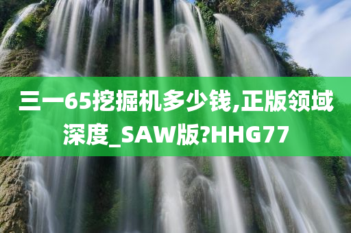 三一65挖掘机多少钱,正版领域深度_SAW版?HHG77