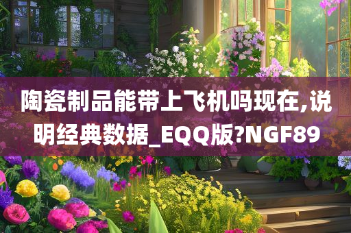 陶瓷制品能带上飞机吗现在,说明经典数据_EQQ版?NGF89