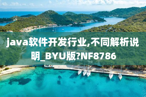 java软件开发行业,不同解析说明_BYU版?NF8786