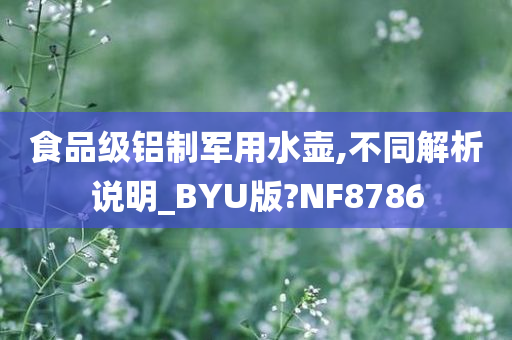 食品级铝制军用水壶,不同解析说明_BYU版?NF8786