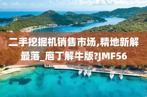 二手挖掘机销售市场,精地新解最落_庖丁解牛版?JMF56