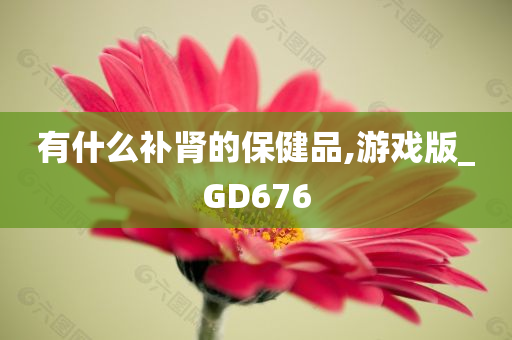 有什么补肾的保健品,游戏版_GD676