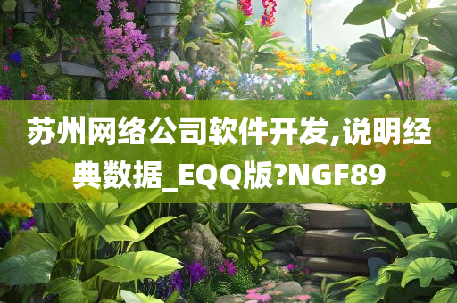 苏州网络公司软件开发,说明经典数据_EQQ版?NGF89