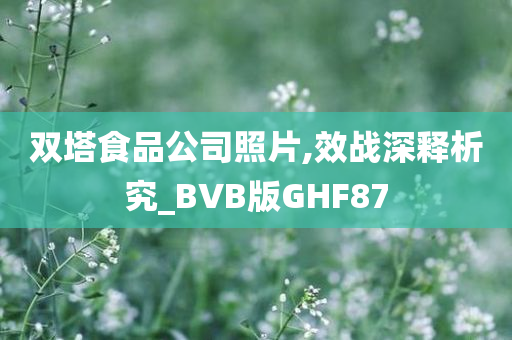 双塔食品公司照片,效战深释析究_BVB版GHF87