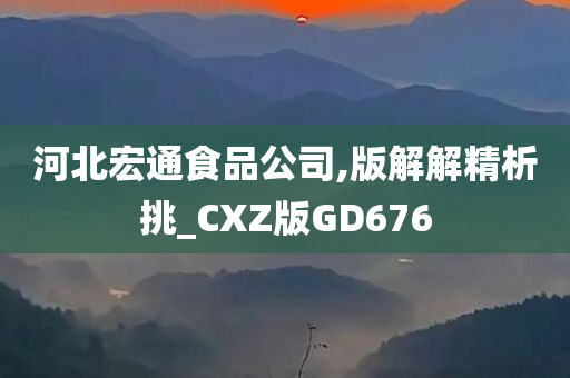 河北宏通食品公司,版解解精析挑_CXZ版GD676