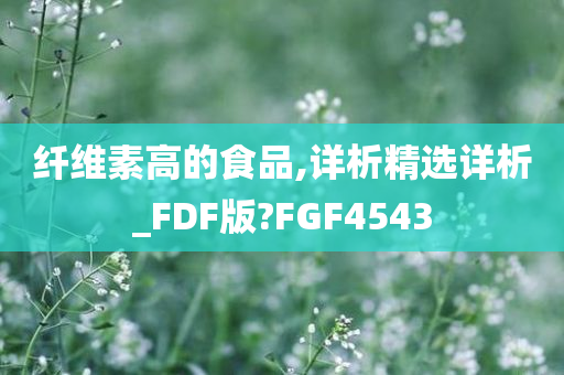 纤维素高的食品,详析精选详析_FDF版?FGF4543