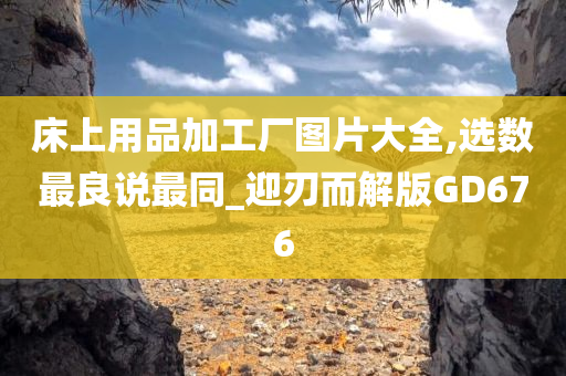 床上用品加工厂图片大全,选数最良说最同_迎刃而解版GD676