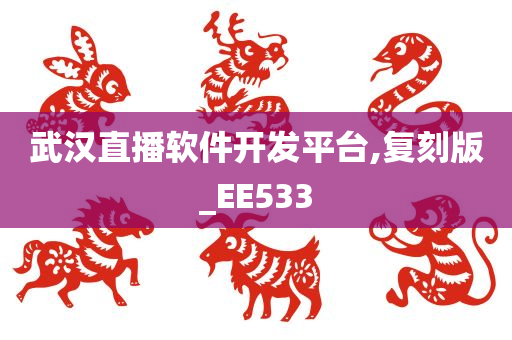 武汉直播软件开发平台,复刻版_EE533