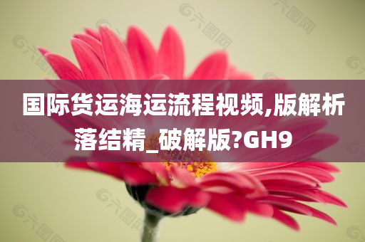 国际货运海运流程视频,版解析落结精_破解版?GH9