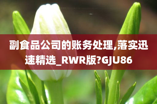 副食品公司的账务处理,落实迅速精选_RWR版?GJU86