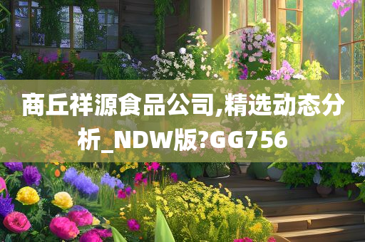 商丘祥源食品公司,精选动态分析_NDW版?GG756