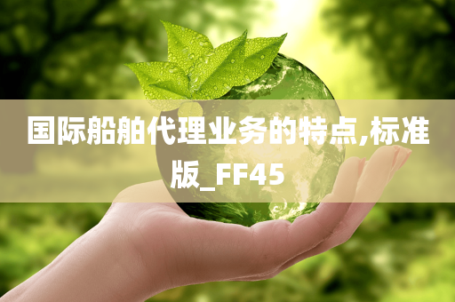 国际船舶代理业务的特点,标准版_FF45