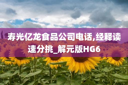 寿光亿龙食品公司电话,经释读速分挑_解元版HG6