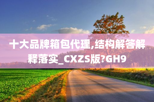 十大品牌箱包代理,结构解答解释落实_CXZS版?GH9