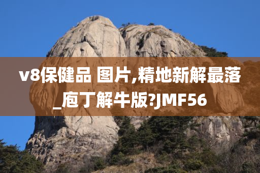 v8保健品 图片,精地新解最落_庖丁解牛版?JMF56