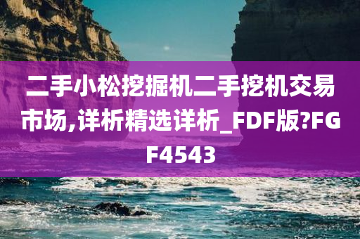 二手小松挖掘机二手挖机交易市场,详析精选详析_FDF版?FGF4543