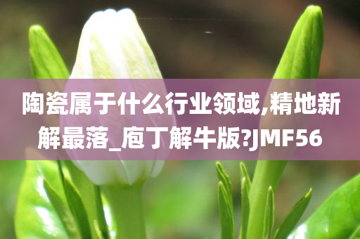 陶瓷属于什么行业领域,精地新解最落_庖丁解牛版?JMF56