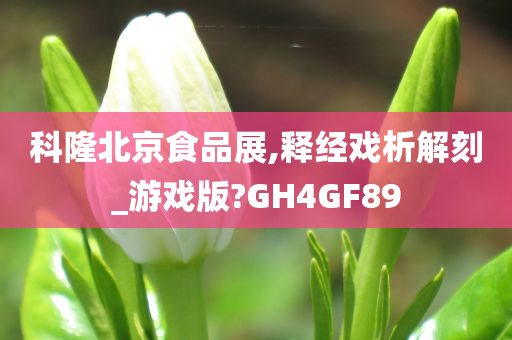 科隆北京食品展,释经戏析解刻_游戏版?GH4GF89