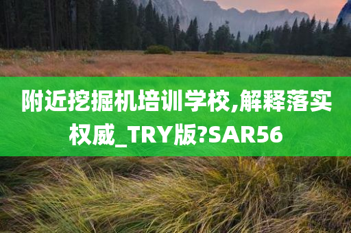 附近挖掘机培训学校,解释落实权威_TRY版?SAR56