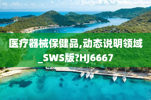 医疗器械保健品,动态说明领域_SWS版?HJ6667