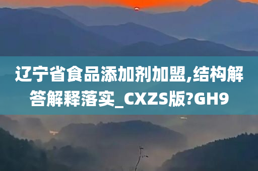 辽宁省食品添加剂加盟,结构解答解释落实_CXZS版?GH9