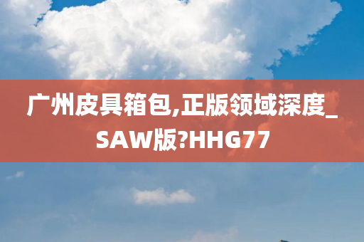 广州皮具箱包,正版领域深度_SAW版?HHG77