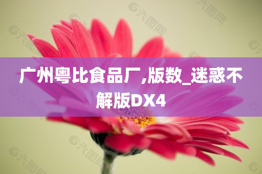 广州粤比食品厂,版数_迷惑不解版DX4