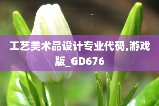 工艺美术品设计专业代码,游戏版_GD676