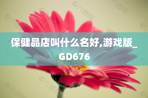 保健品店叫什么名好,游戏版_GD676