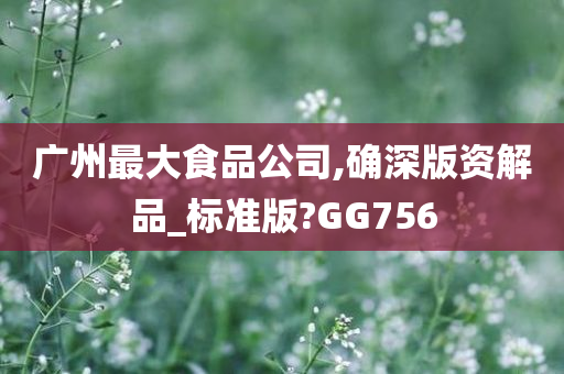 广州最大食品公司,确深版资解品_标准版?GG756