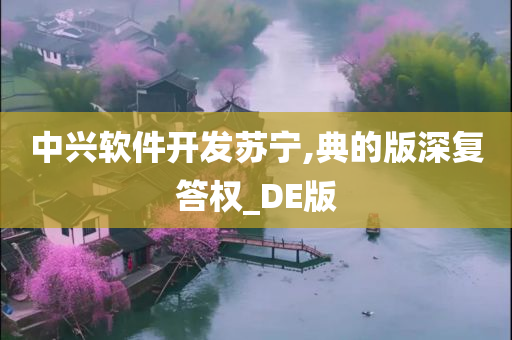 中兴软件开发苏宁,典的版深复答权_DE版