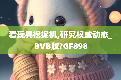 看玩具挖掘机,研究权威动态_BVB版?GF898