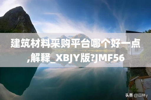 建筑材料采购平台哪个好一点,解释_XBJY版?JMF56