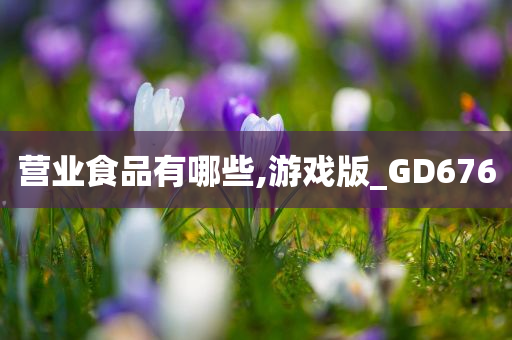 营业食品有哪些,游戏版_GD676