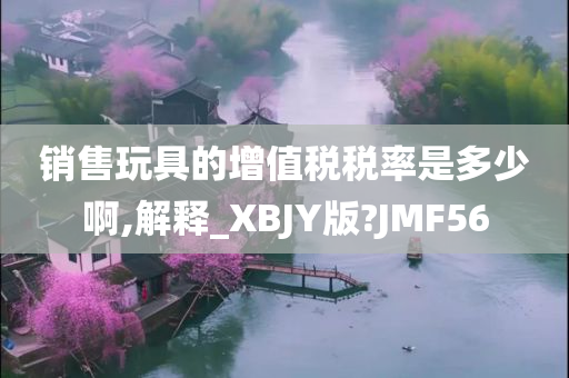 销售玩具的增值税税率是多少啊,解释_XBJY版?JMF56