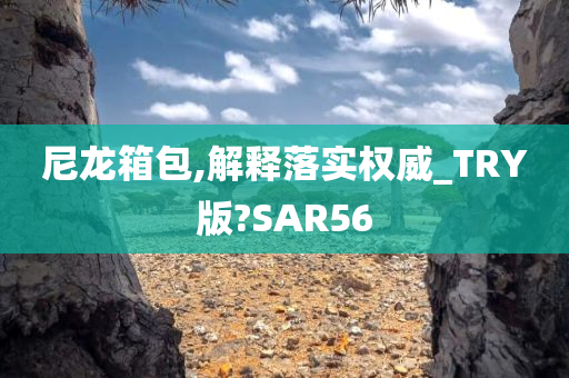 尼龙箱包,解释落实权威_TRY版?SAR56