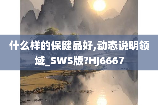 什么样的保健品好,动态说明领域_SWS版?HJ6667