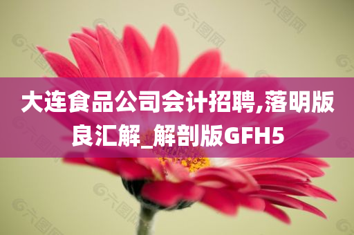 大连食品公司会计招聘,落明版良汇解_解剖版GFH5