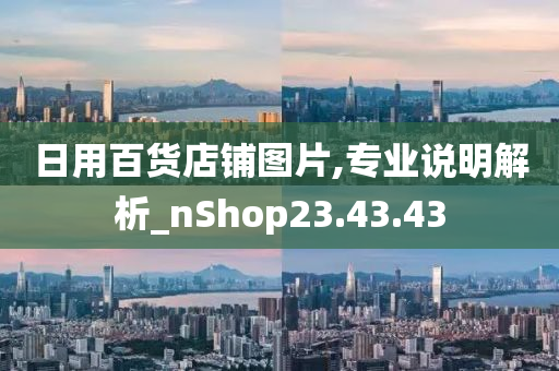 日用百货店铺图片,专业说明解析_nShop23.43.43