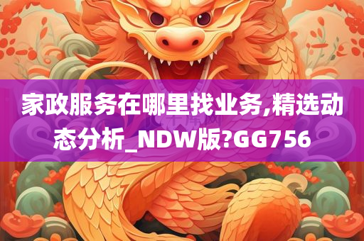 家政服务在哪里找业务,精选动态分析_NDW版?GG756