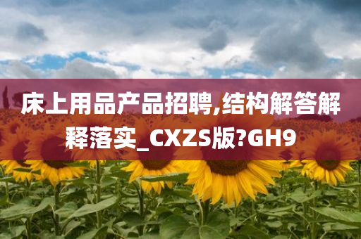 床上用品产品招聘,结构解答解释落实_CXZS版?GH9