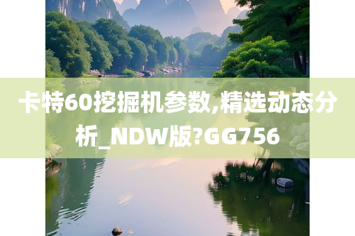 卡特60挖掘机参数,精选动态分析_NDW版?GG756