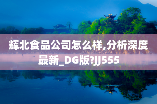 辉北食品公司怎么样,分析深度最新_DG版?JJ555