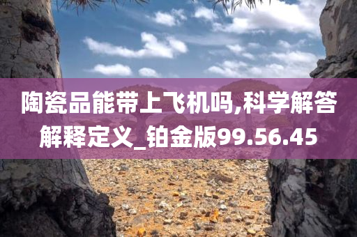 陶瓷品能带上飞机吗,科学解答解释定义_铂金版99.56.45