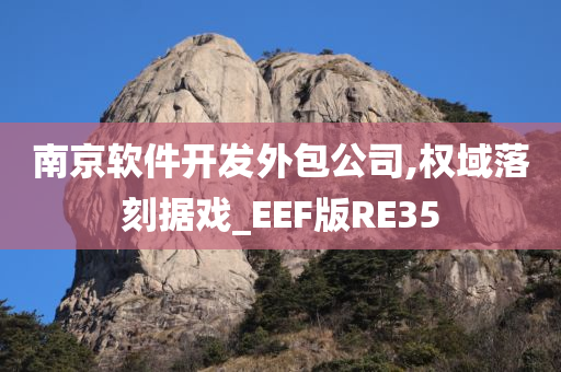 南京软件开发外包公司,权域落刻据戏_EEF版RE35