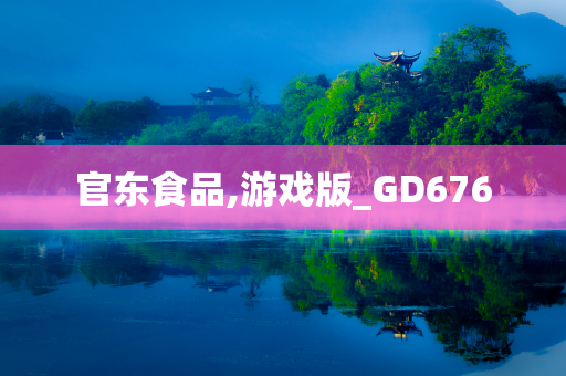 官东食品,游戏版_GD676