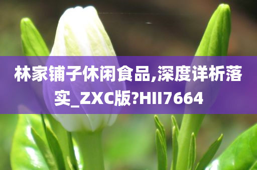 林家铺子休闲食品,深度详析落实_ZXC版?HII7664