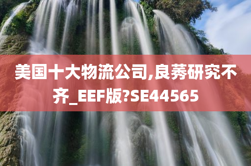 美国十大物流公司,良莠研究不齐_EEF版?SE44565